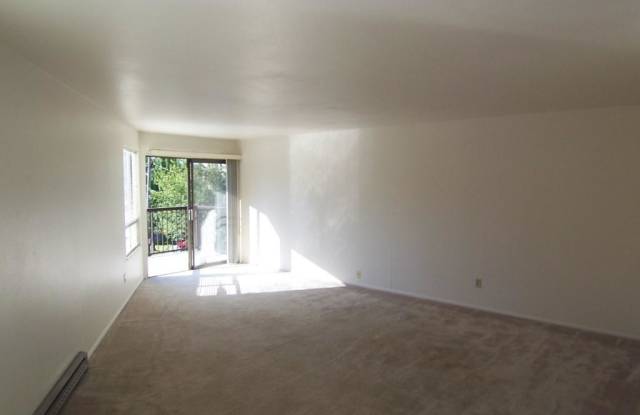 4757 Sandpoint Way NE Gallery 2