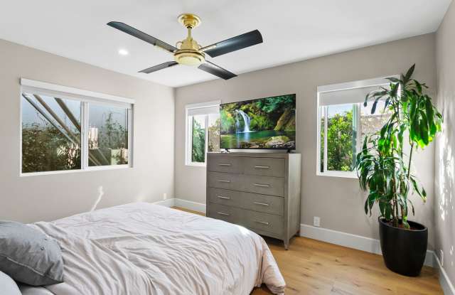 Hidden Gem in Newport Heights photos photos