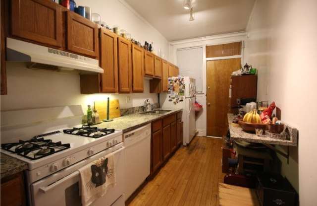 1356 West Sunnyside Avenue - Unit 1 - 1356 W Sunnyside Ave, Chicago, IL 60640