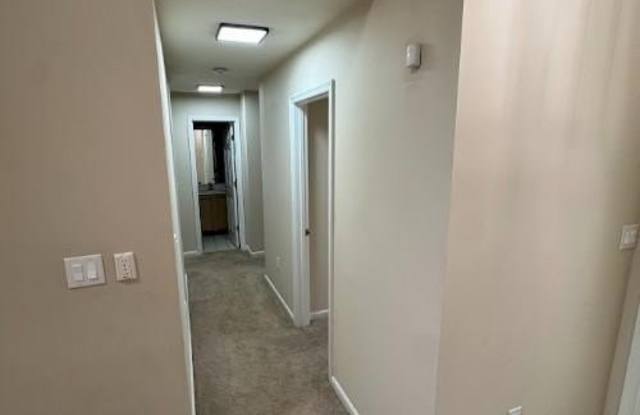 799 RIPPLEBROOK Gallery 4
