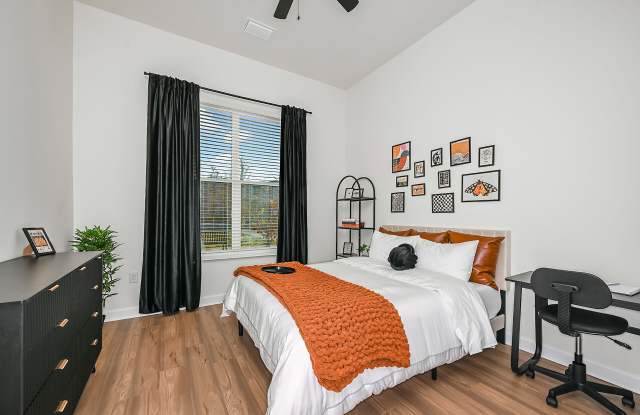 Apollo Apartments Gallery 4