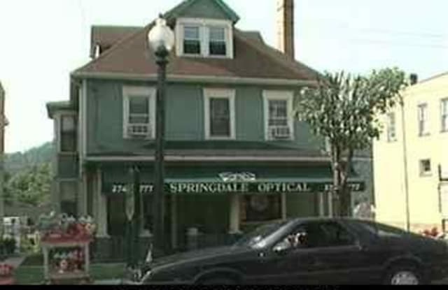 910 Pittsburgh St - 910 Pittsburgh Street, Springdale, PA 15144