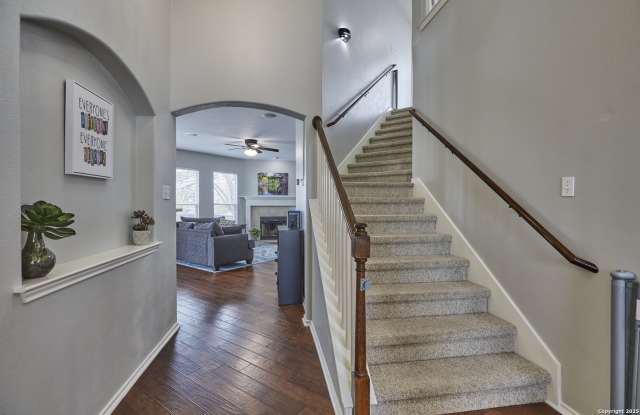 935 Calico photos photos