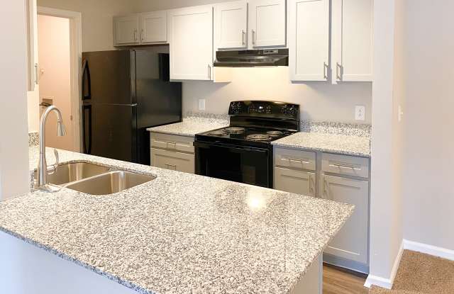 Eagle Chase photos photos