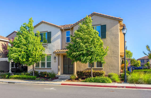 5Bed/3Ba Home in Quiet Hayward Community with Prime Commuter Access photos photos