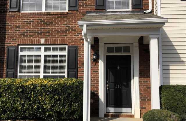 315 Cumulus Court - 315 Cumulus Court, Greer, SC 29650