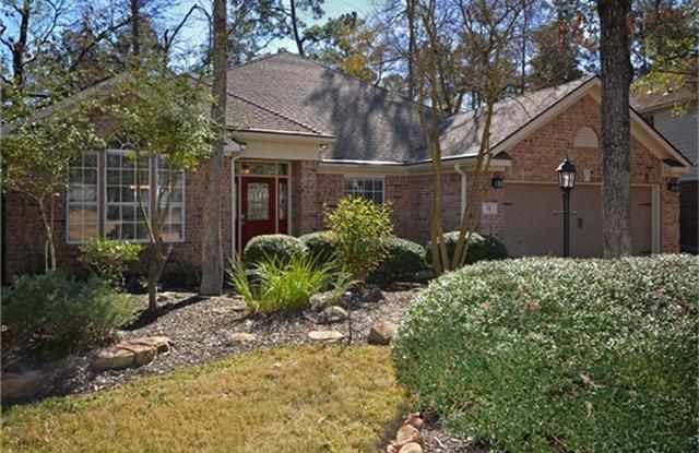 51 E Sterling Pond Circle - 51 East Sterling Pond Circle, The Woodlands, TX 77382