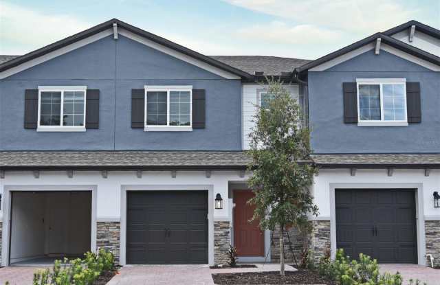 318 CAPE HONEYSUCKLE Place photos photos