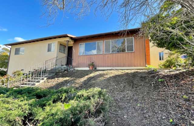 Spacious 4 Bedroom House with Large Backyard ** Available July photos photos