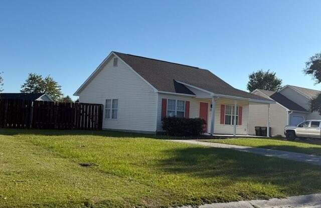 6917 Alamosa Drive - 6917 Alamosa Drive, Murraysville, NC 28411