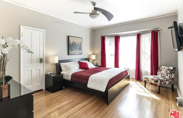 215 PL S POINSETTIA Gallery 4