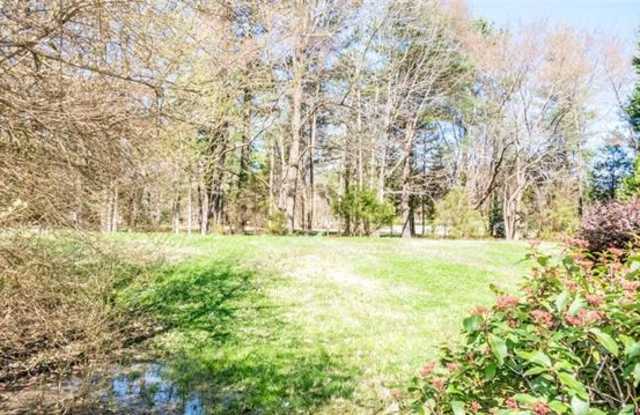 10121 White Cascade Drive Gallery 4