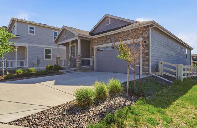Castle Rock - Rancher 4 bed 3 bath in Crystal Valley! photos photos Castle Rock - Rancher 4 bed 3 bath in Crystal Valley! photos photos