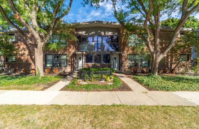 ONE11 COLLECTION - ROYAL OAK photos photos ONE11 COLLECTION - ROYAL OAK photos photos