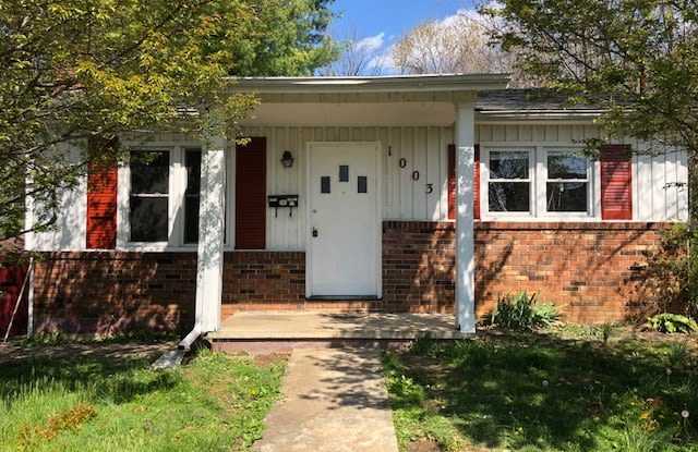 1003 Henry Street - 1003 Henry Street, Johnson City, TN 37601