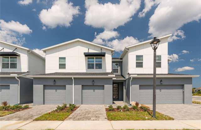 811 SPRING PALMS LOOP photos photos