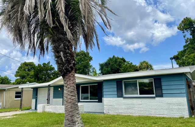 9105 Pegasus Avenue, Port Richey, Fl 34668 - 9105 Pegasus Avenue, Jasmine Estates, FL 34668