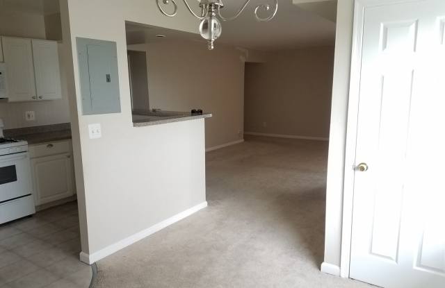Spacious 2 Bedroom, 2 Bath in Hyattsville Gallery 3