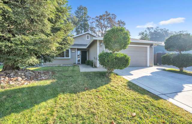 827 Stetson Way photos photos