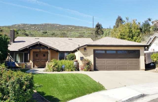11057 Picaza Place - 11057 Picaza Place, San Diego, CA 92127