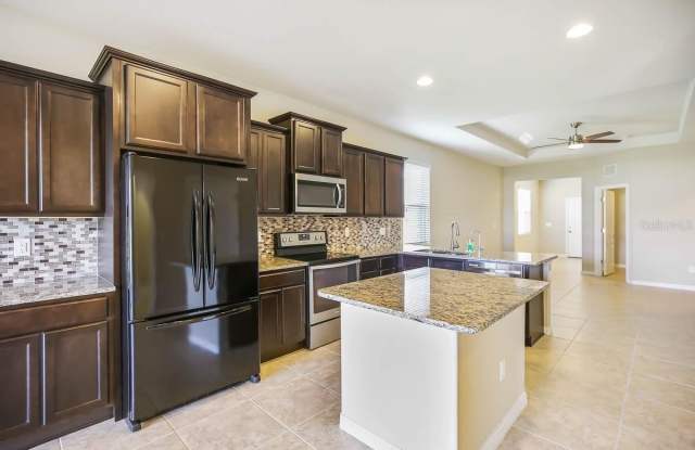 6428 YELLOW BUCKEYE DRIVE Gallery 2