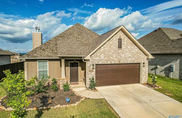 105 Kinslee Leann Court - 105 Kinslee Leann Court, Meridianville, AL 35759