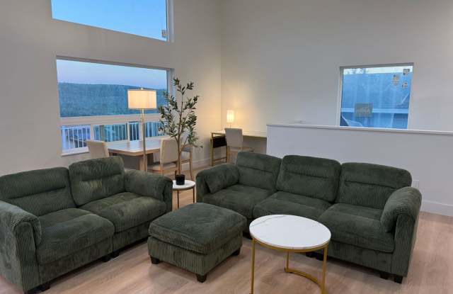 Newly Built Fully Furnished Month to Month Rental Gallery 1