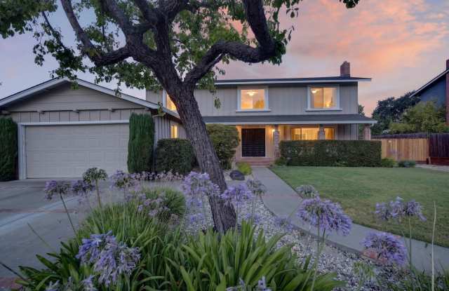 Northgate Beauty with Newly Landscaped Backyard, Top-Rated Schools & Prime Walnut Creek Location! photos photos