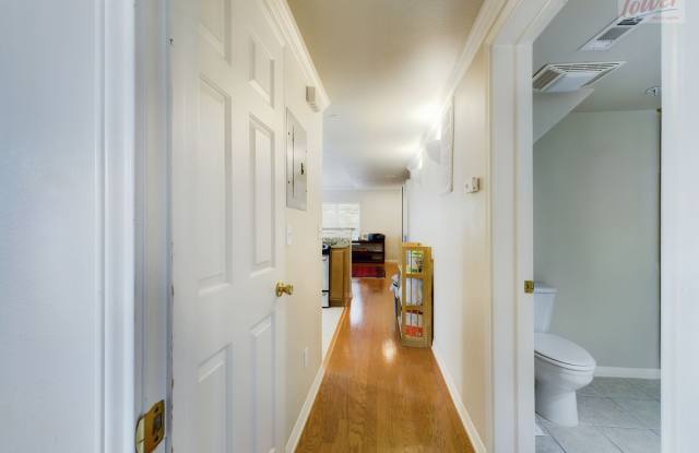 3007 Speedway Apt 3 Gallery 2