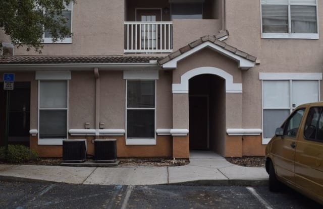 17973 Villa Creek Drive - 17973 Villa Creek Drive, Tampa, FL 33647