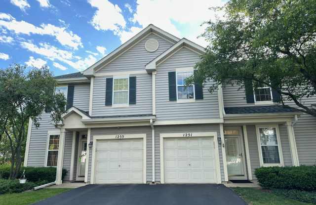 1251 Arapaho Court - 1251 Arapaho Court, Naperville, IL 60540