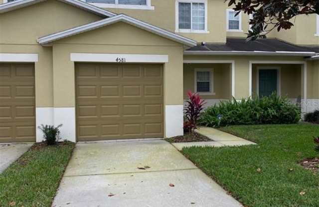4581 Limerick Drive - 4581 Limerick Drive, Mango, FL 33610