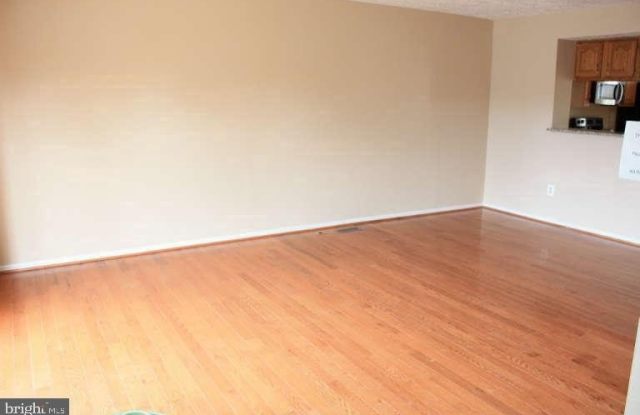 8567 BLACK STAR Circle Gallery 3