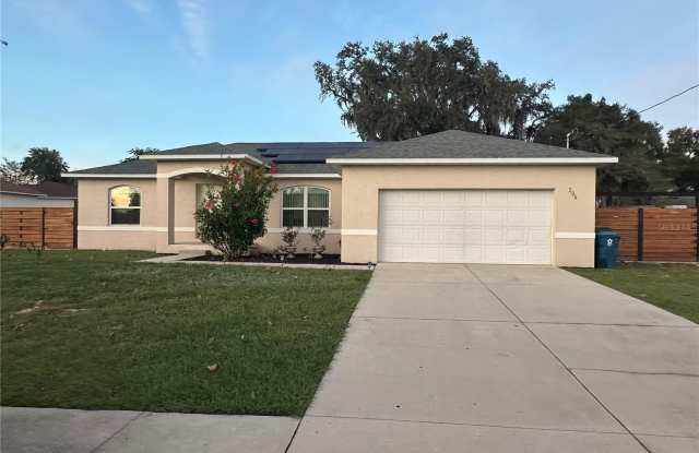 206 NORTH BOULEVARD W - 206 North Boulevard West, Davenport, FL 33837
