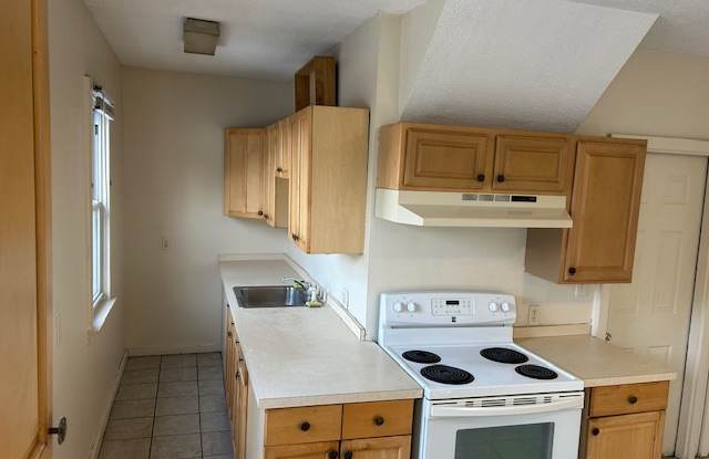 66 Prospect Street photos photos