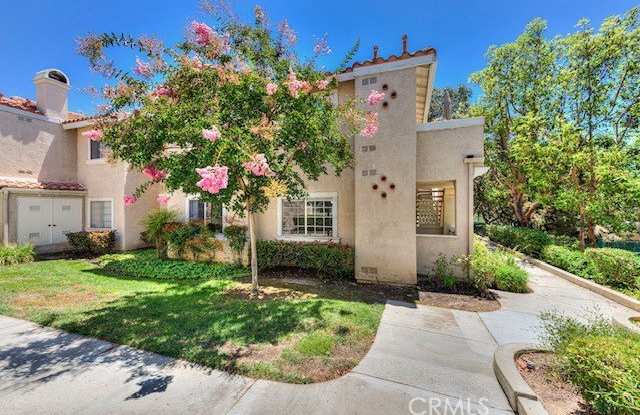 9 Gaviota photos photos