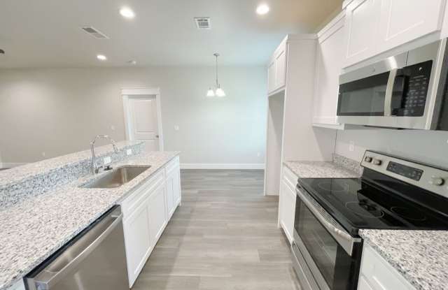 Stunning 3bd 2 ba house in brand new community Gallery 4
