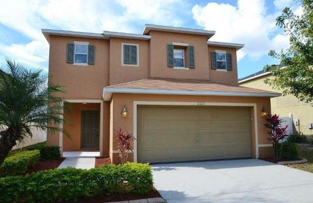 11123 RUNNING PINE DRIVE - 11123 Running Pine Drive, Riverview, FL 33569