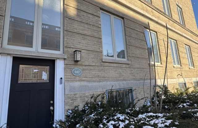 542 E 48th Street unit: 3E photos photos