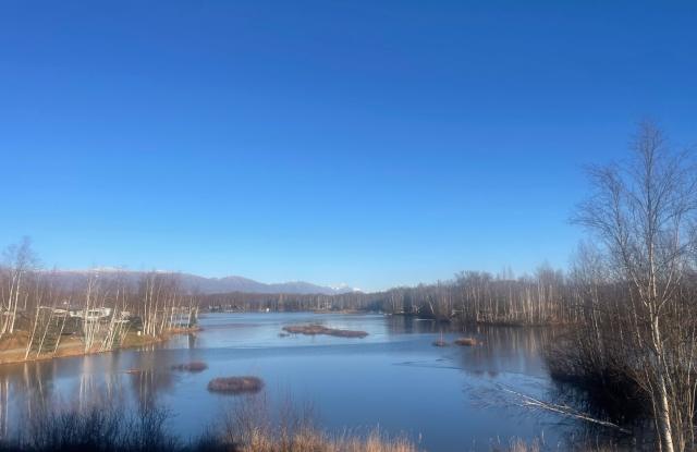 Amazing custom built Alaskan Log home across from Rainbow Lake! Fully Furnished! Gallery 4
