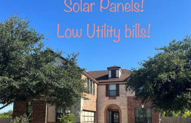 19332 Pencil Cactus Drive photos photos