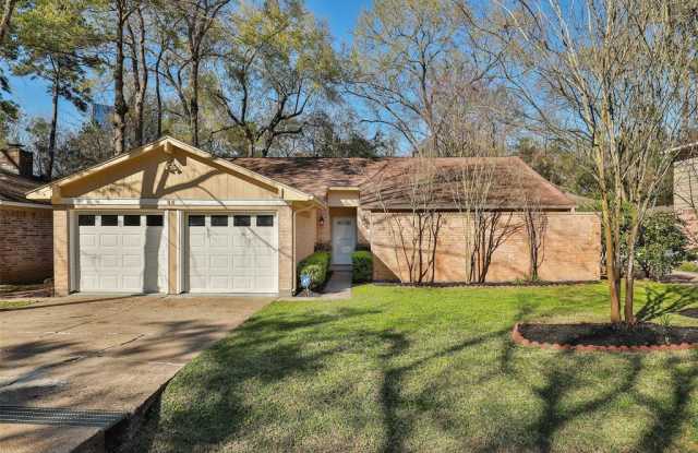 46 N Deerfoot Circle - 46 North Deerfoot Circle, The Woodlands, TX 77380