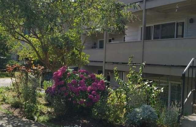 Rochelle Apartments photos photos Rochelle Apartments photos photos