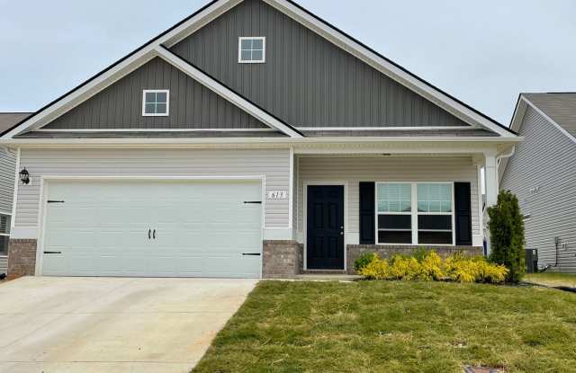 Gorgeous 3 Bedroom Home in Union Station Community! photos photos