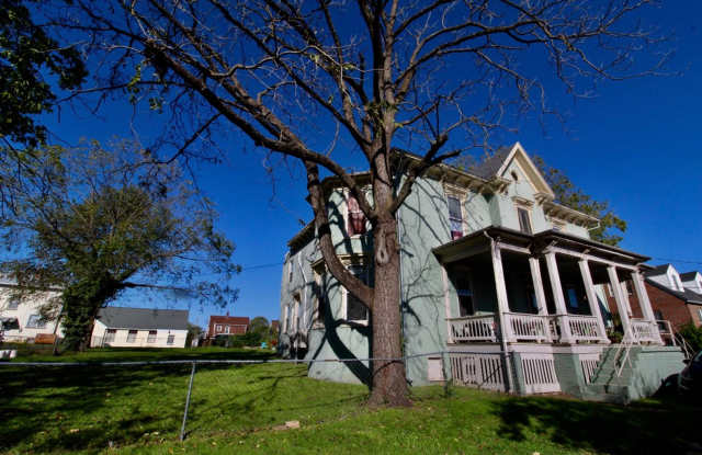 Charming 1-Bed, 1-Bath Apartment near Downtown Harrisonburg - 317 Park Avenue, Harrisonburg, VA 22802 Charming 1-Bed, 1-Bath Apartment near Downtown Harrisonburg - 317 Park Avenue, Harrisonburg, VA 22802