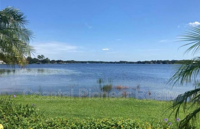 13824 Orange Sunset Dr - 13824 Orange Sunset Drive, Lake Magdalene, FL 33618