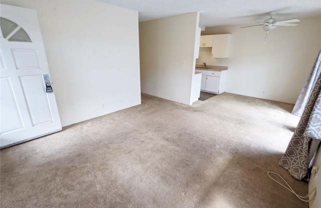 343 Mananai Place Gallery 2