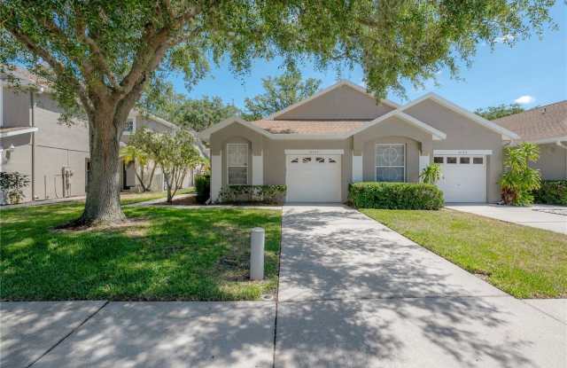 4347 BROOKER CREEK DRIVE - 4347 Brooker Creek Drive, East Lake, FL 34685