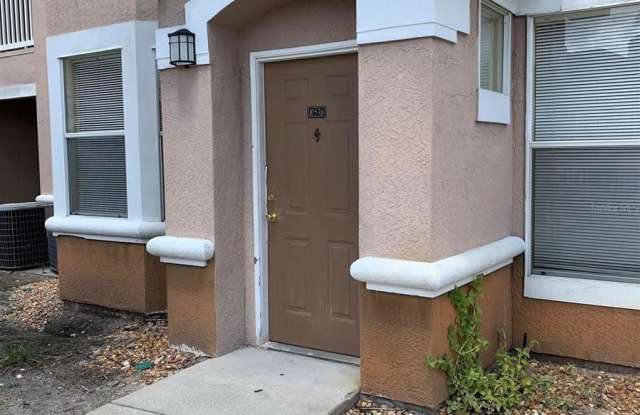 10538 VILLA VIEW CIRCLE - 10538 Villa View Circle, Tampa, FL 33647