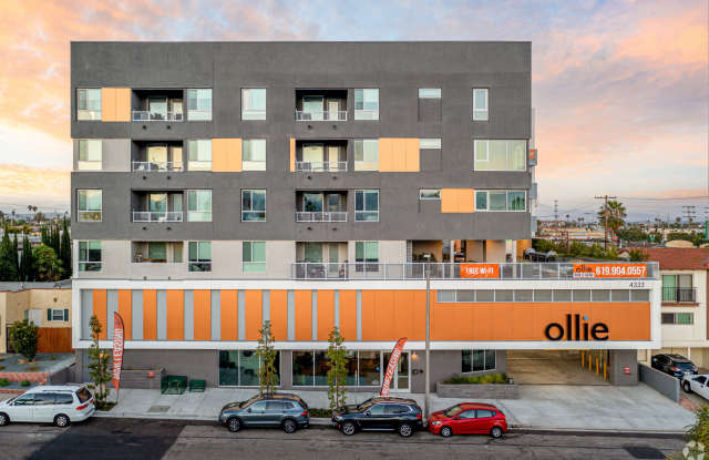 Ollie North Park Lofts photos photos